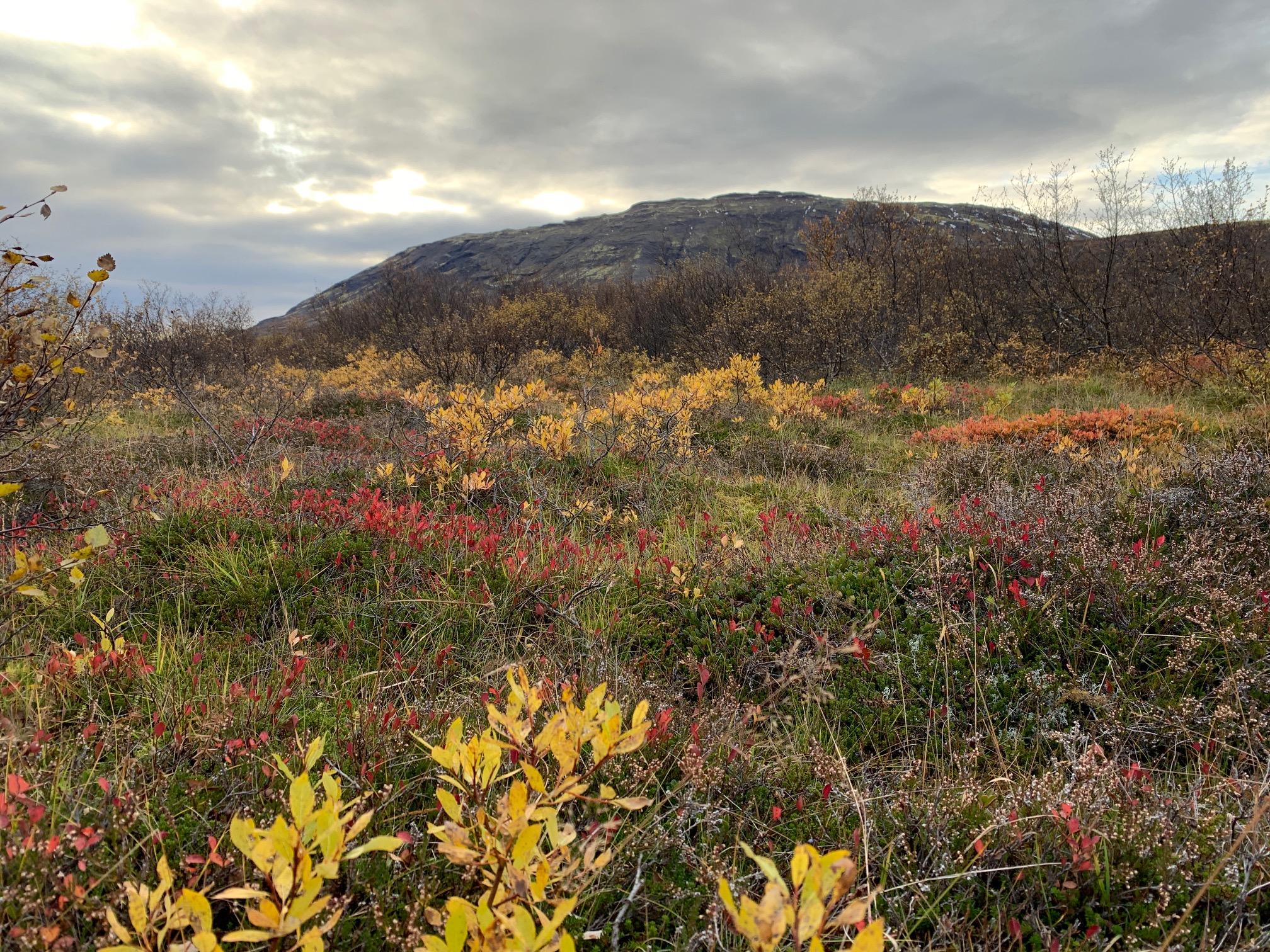 Haustfundur hinn fyrsti