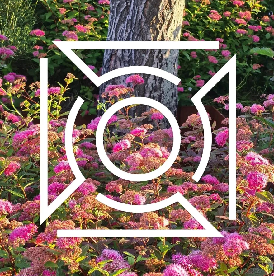 NÝ INSTAGRAMSÍÐA FÍLA OPNUÐ