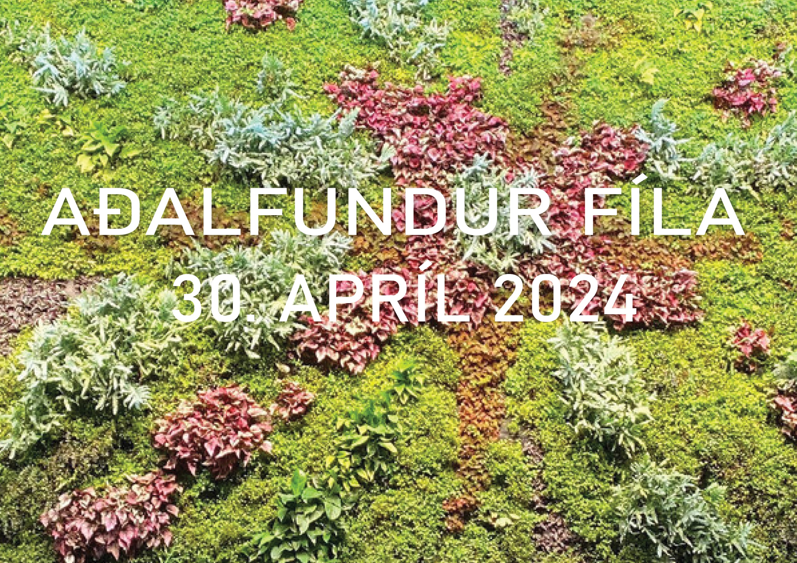 Aðalfundur FÍLA 2024